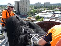 Chimney and shot Tower Inspections